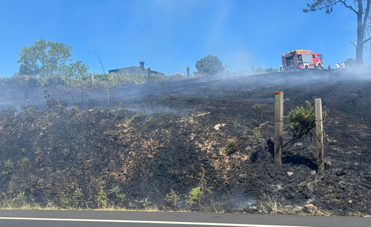 Un incendio forestal en Major calcina entorno a 3.000 metros cuadrados