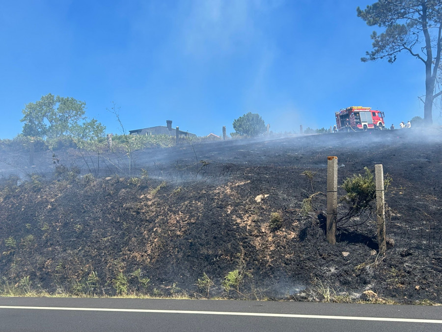 Un incendio forestal en Major calcina entorno a 3.000 metros cuadrados