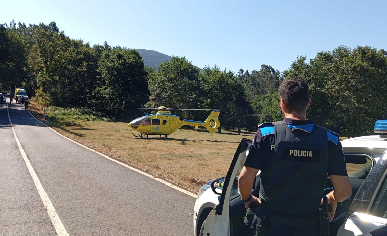 Un ganadero, herido grave tras ser corneado por un buey en Cuntis