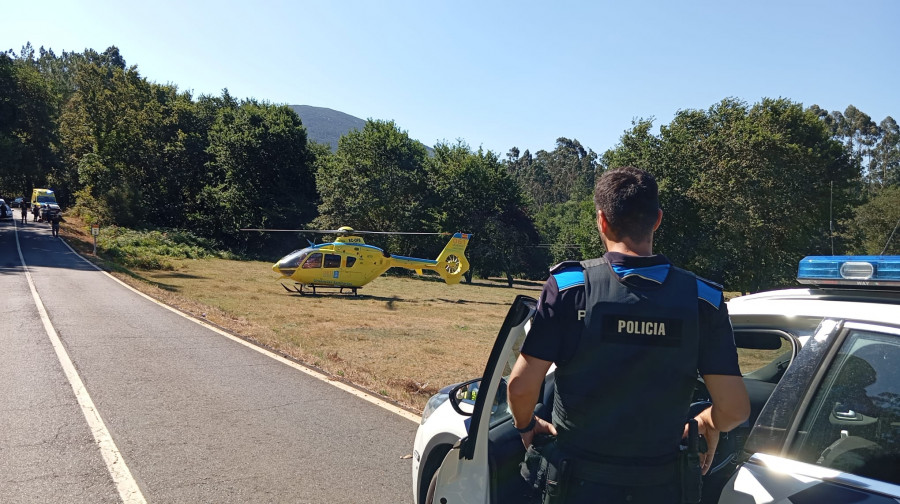 Un ganadero, herido grave tras ser corneado por un buey en Cuntis