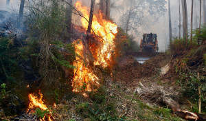 El incendio forestal de Meaño en imágenes