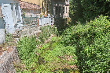 Rio maleza