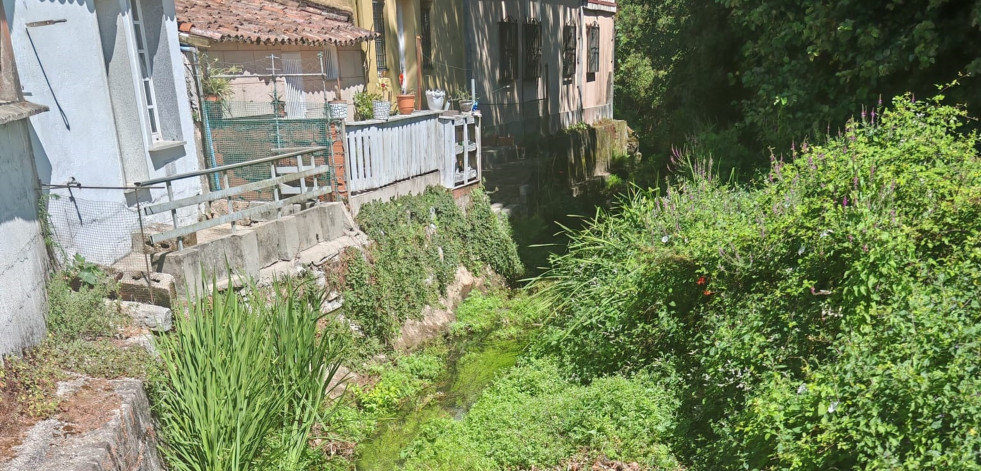 Así viven en A Laxe: Maleza a las puertas y roedores que casi tocan el timbre