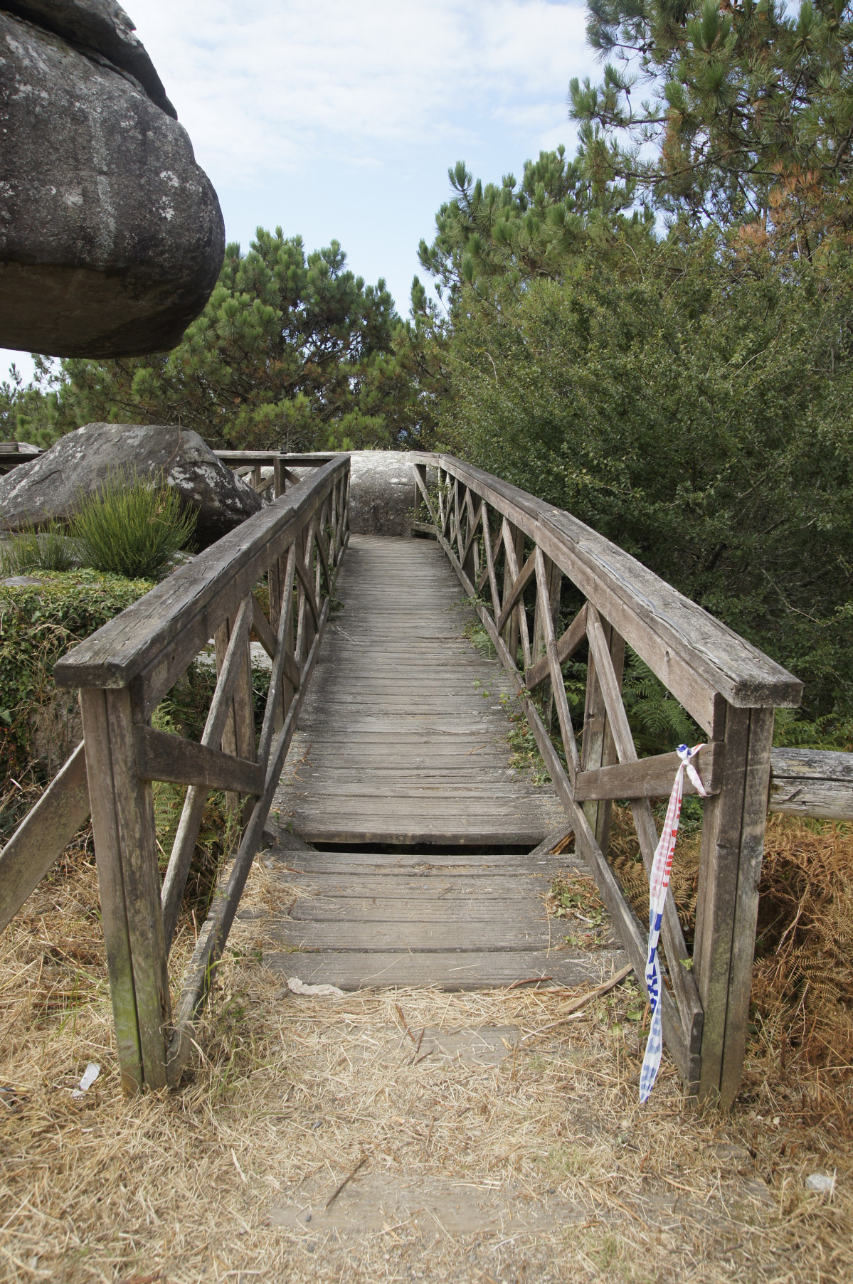 Mirador a siradella o grove 2