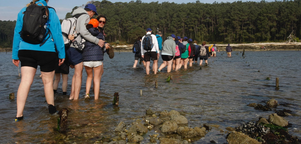AmarCarril ofrece talleres de marisqueo y visitas guiadas a Cortegada especiales por la Festa da Ameixa