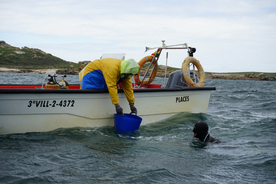 Amicos destaca a la Cofradía de Pescadores de Carreira y Aguiño como ejemplo en conservación y restauración de fondos marinos