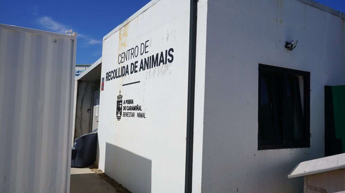 A POBRA   RECOLLIDA ANIMAIS2