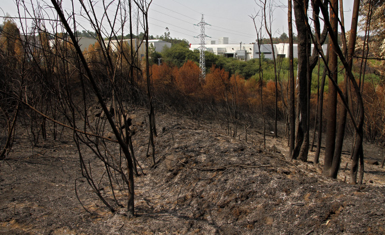 Vilagarcía contrata a cinco trabajadores para formar brigada de prevención de incendios