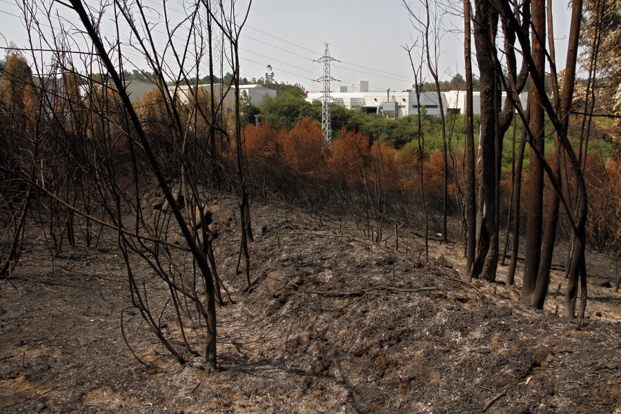 Vilagarcía contrata a cinco trabajadores para formar brigada de prevención de incendios