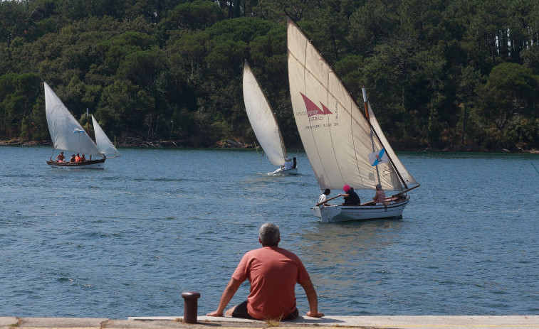 Las almejas se sirven hoy en Carril tras una regata de éxito que inauguró las fiestas