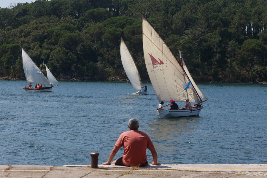 Las almejas se sirven hoy en Carril tras una regata de éxito que inauguró las fiestas