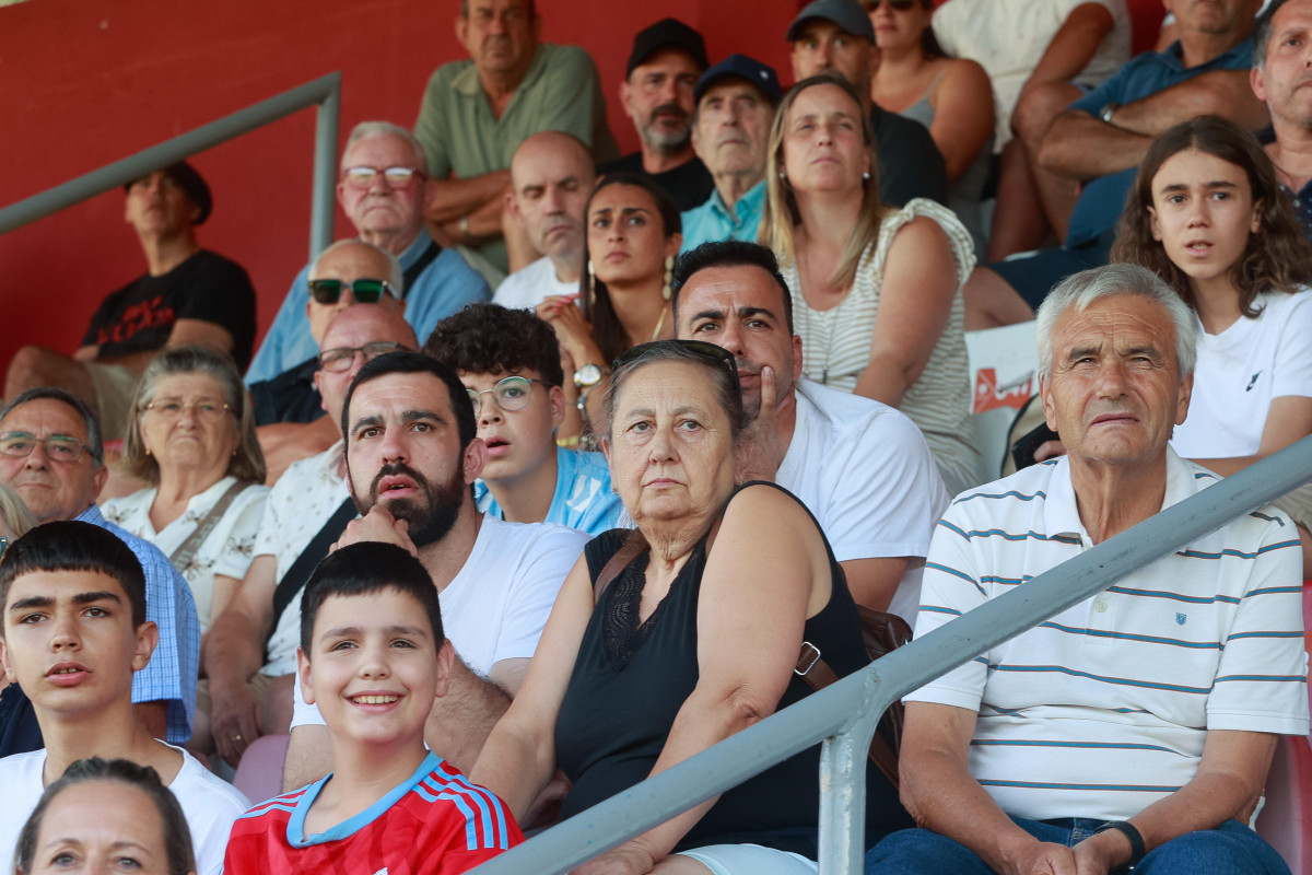 Aficion