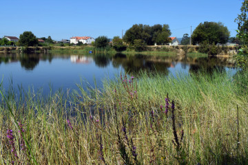 DSC 0473