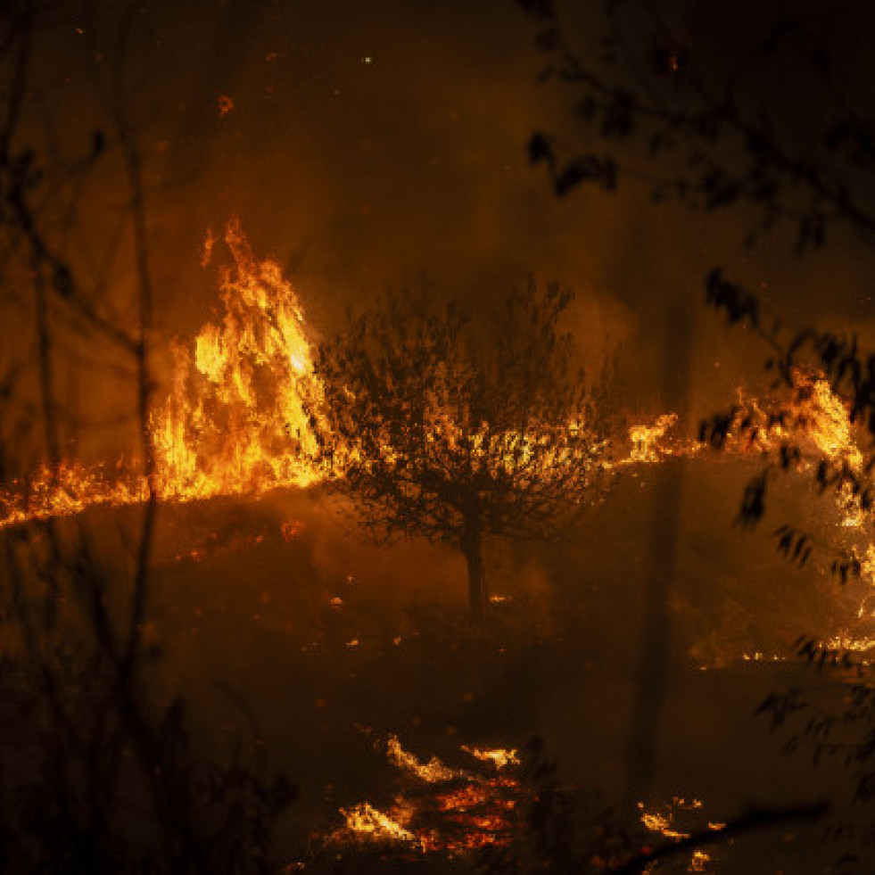 Pedro Sánchez visitará este domingo las zonas de los incendios de Ourense