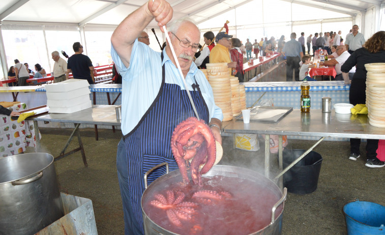 Palmeira celebra este fin de semana su 11ª fiesta del pulpo, en la que se prevé repartir unas 4.000 raciones