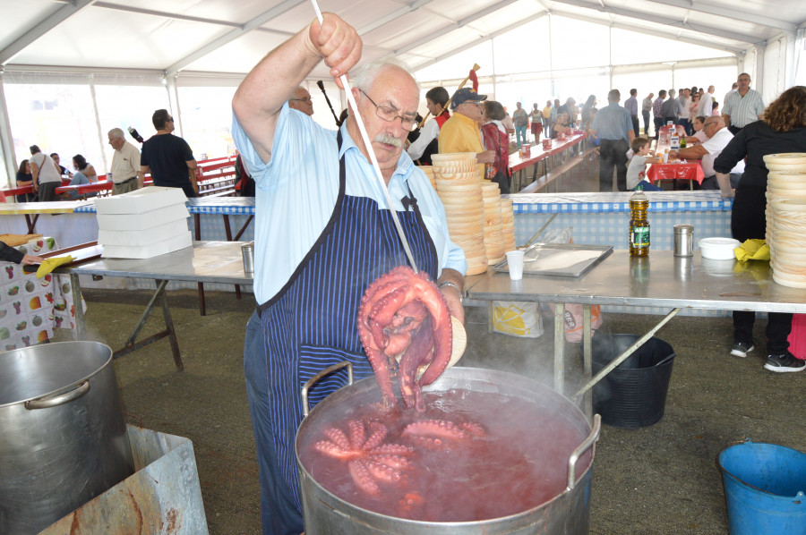 Palmeira celebra este fin de semana su 11ª fiesta del pulpo, en la que se prevé repartir unas 4.000 raciones
