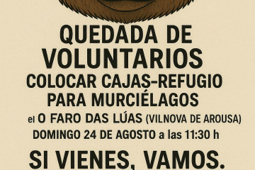 Murcielagos vilanova
