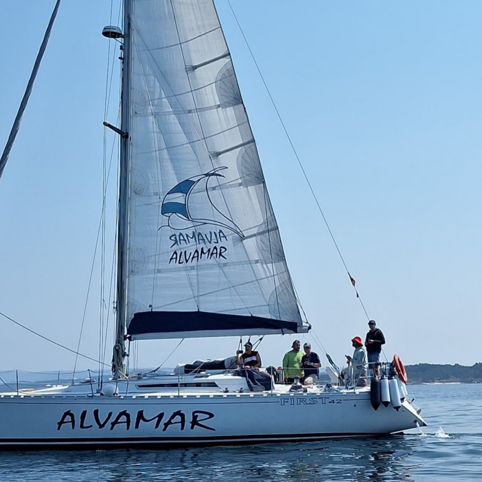 Avistadas tres manadas de orcas en la Ría de Arousa, una de las cuales causó daños en el timón de un velero francés junto la isla de Rúa