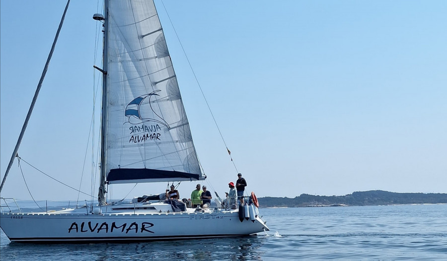 Avistadas tres manadas de orcas en la Ría de Arousa, una de las cuales causó daños en el timón de un velero francés junto la isla de Rúa