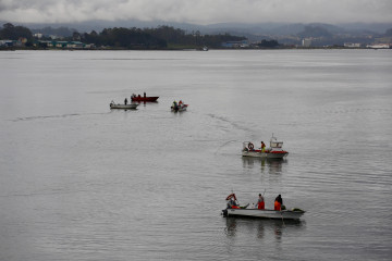 Marisqueo arousa