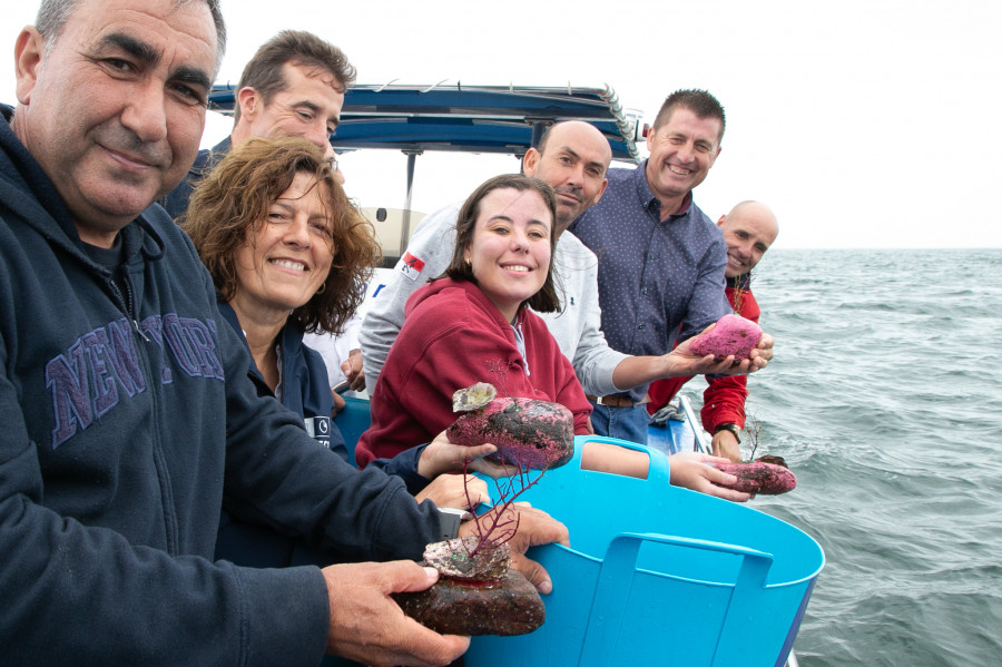 La restauración de fondos marinos en el entorno de la isla de Sálvora gana nuevos adeptos