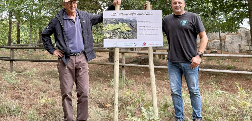 András ya cuenta con 16 hectáreas  de bosque de frondosas protegido