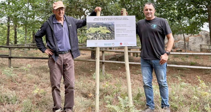 András ya cuenta con 16 hectáreas  de bosque de frondosas protegido