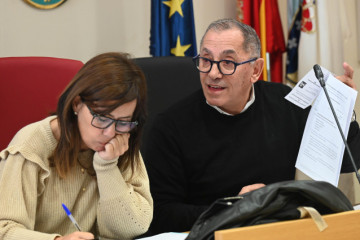 PlenoenCarralJavierGestal