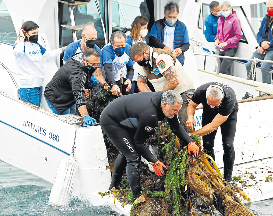 El presidente de Abanca y su consejero delegado participaron en las tareas de recogida de residuos marinos en el entorno del islote de Areoso (en A Illa) junto a medio centenar de voluntarios, navalle