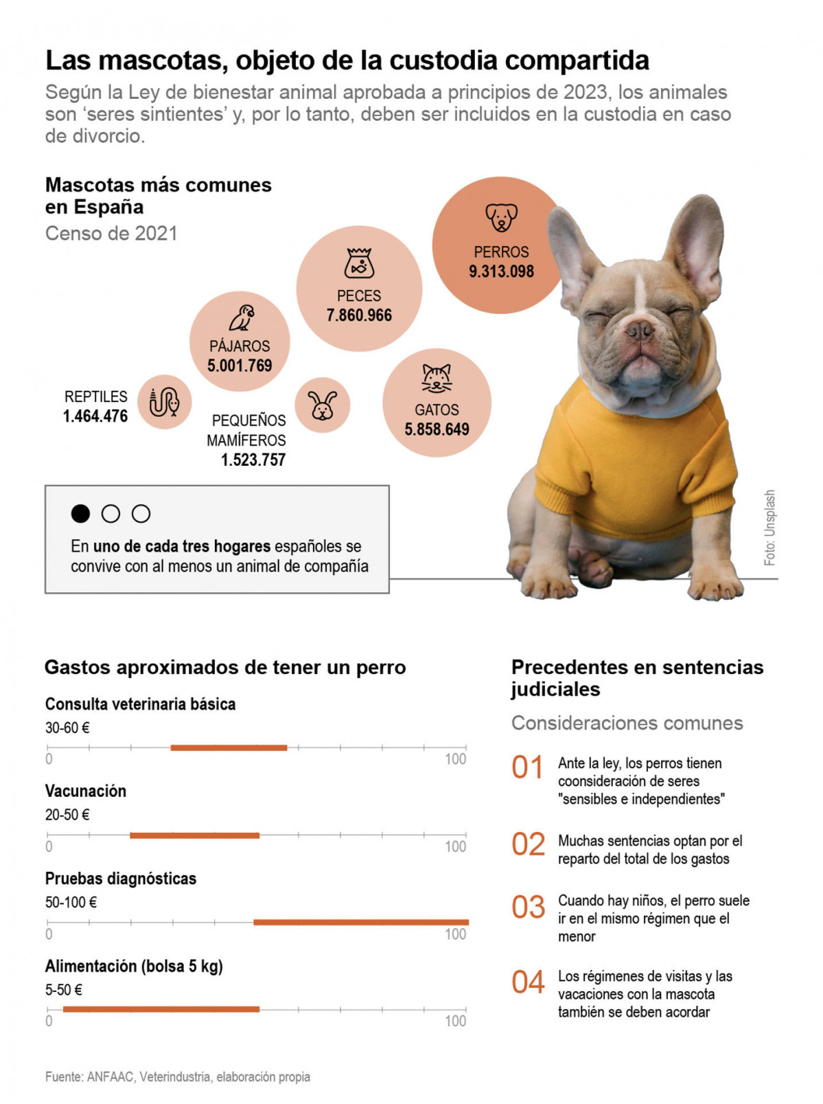 Grafico mascotas